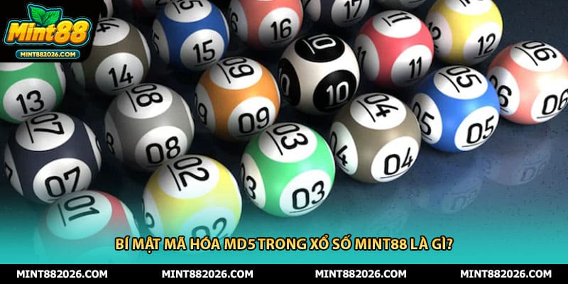 Bí mật mã hóa MD5 trong xổ số mint88 là gì?