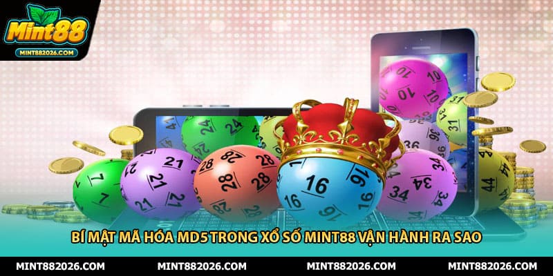 Bí Mật Mã Hóa MD5 Trong Xổ Số Mint88 Vận Hành Ra Sao