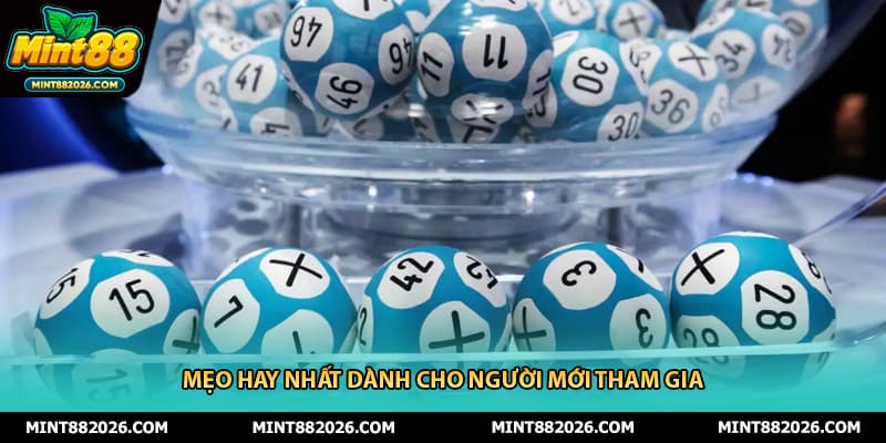 Mẹo hay nhất dành cho người mới tham gia