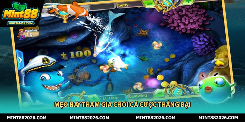 Mẹo hay tham gia chơi cá cược thắng bại